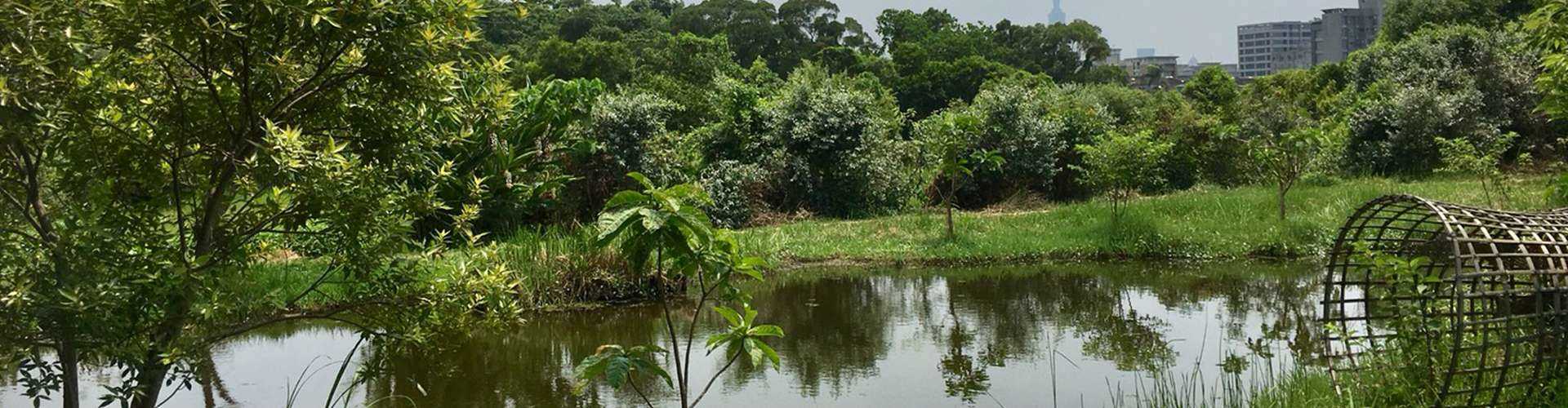 Ecological pool